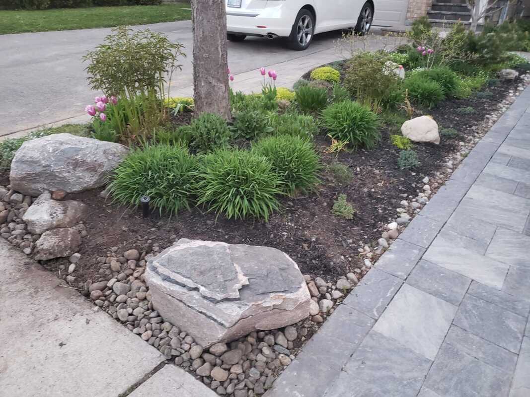 Garden bed with shrubs and boulders